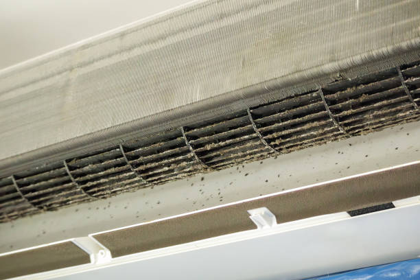 Best Dryer Vent Cleaning Services  in Mono Vista, CA